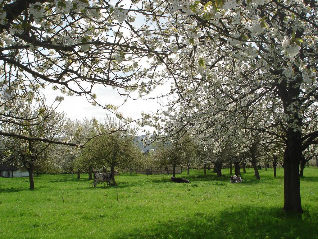 Chambres D'Hotes Au Temps Des Cerises Jumièges Εξωτερικό φωτογραφία
